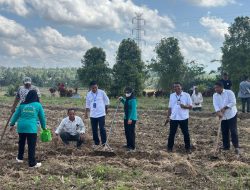 Camat Rilau Ale Luncurkan Mappideceng, Dorong Pertanian Ramah Lingkungan untuk Ketahanan Pangan
