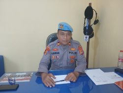 Sabung Ayam di Bulukumba diduga dibekingi Aparat, Propam Turun Tangan, Hasilnya Tidak Terbukti.