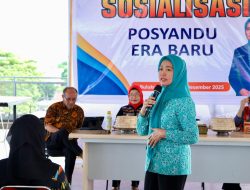 Dinkes Bulukumba Dorong Implementasi Posyandu Era Baru