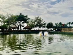 Budidaya Nila Hadir di Kolam Pantai Merpati