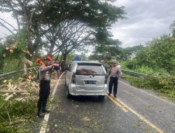 Gerak Cepat Polres Bulukumba Bersama BPBD Evakuasi Pohon Tumbang dan Beri Imbauan.