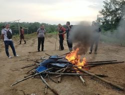 Operasi Sabung Ayam, Polsek Bulukumpa Bakar Arena Sabung Ayam di Bontomangiring.