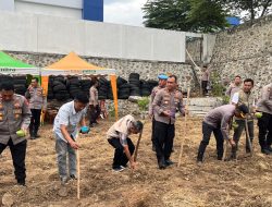 Kapolres Bulukumba Terjun Langsung Tanam Jagung Dukung Program Ketahanan Pangan