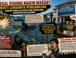 Ilegal Fishing Makin Marak, Bukti Lemahnya Pengawasan Cabang Dinas Kelautan dan Perikanan Kabupaten Bulukumba