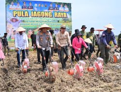 ‎Tanam Jagung Raya 40 Hektare di Pidie, Polda Aceh dan Petani Muda Perkuat Ketahanan Pangan Nasional