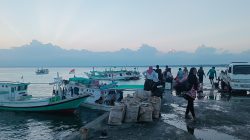 Aktivitas Nelayan Sore Hari, Pembongkaran Ikan di PPI Bontobahari Berlangsung Ramai