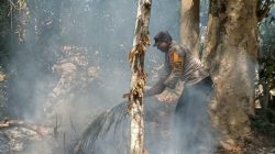 Bhabinkamtibmas Tanah Lemo, Aiptu Sulaeman Bergerak Cepat Bantu Warga Padamkan Api, Cegah Kebakaran Meluas